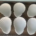 白い貝のミニ皿