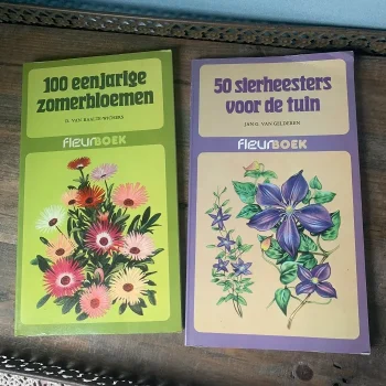 洋書 オランダ 70s 草花の図鑑 フラワー イラスト 本 古本 古書