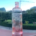 葡萄のエンボスのガラスの空きボトル