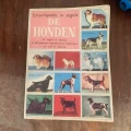 洋書 50s 犬 百科事典 古本 カタログ ヴィンテージ