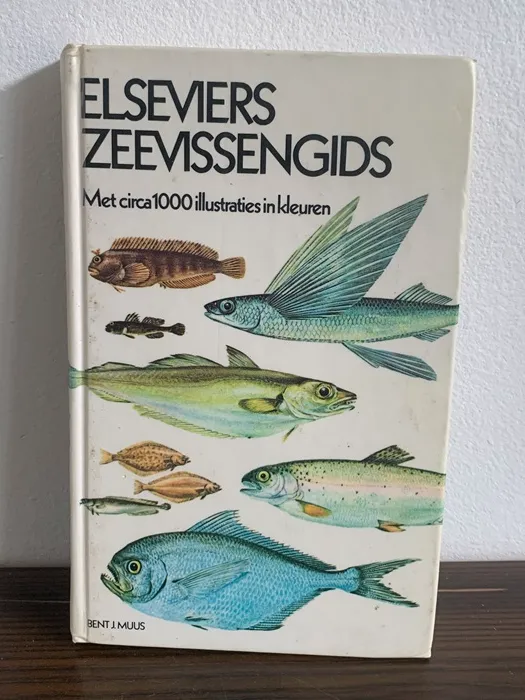 70年代 洋書 オランダ語 魚図鑑 アンティーク