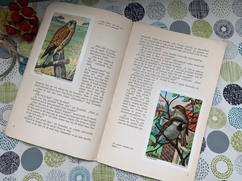 オランダ 50s 「De domme Houtduif」お馬鹿なハトの物語 ヴィンテージ・アンティーク 冊子