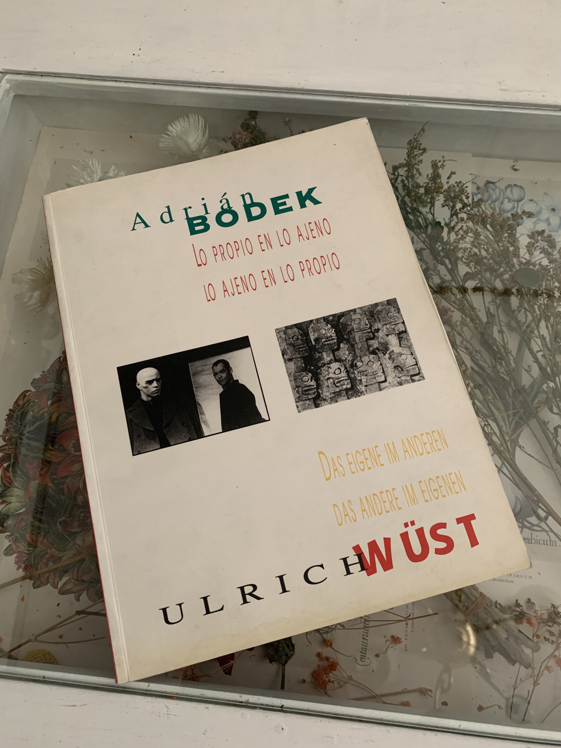 1997年 Ulrich Wust Adrian BODEK 写真家 ヴィンテージアート本 古本 古書